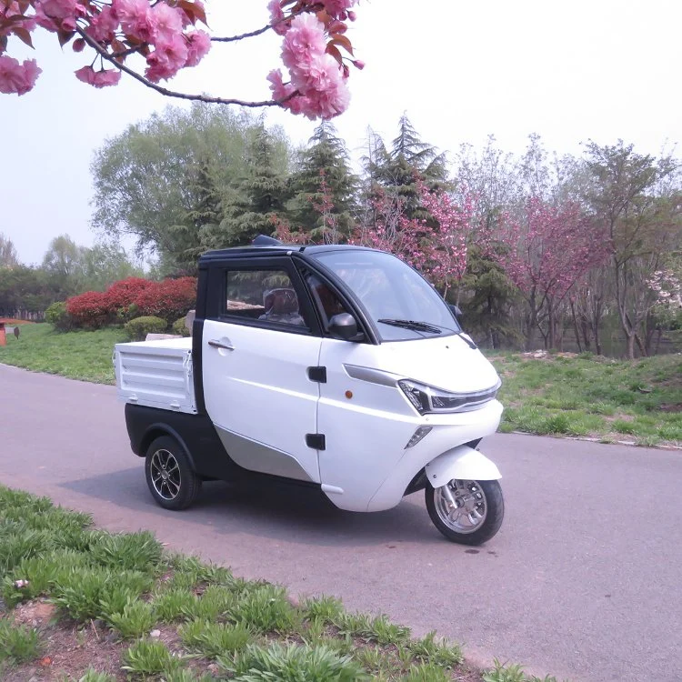 New Energy Hydraulic System Lithium Battery Electric Cargo Delivery Tricycle with Safety Belts